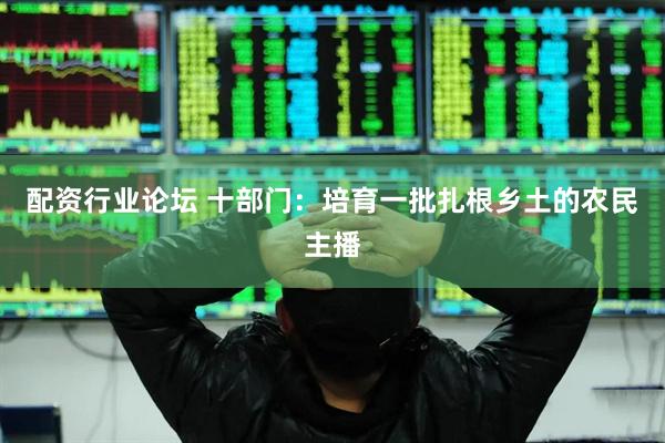 配资行业论坛 十部门：培育一批扎根乡土的农民主播
