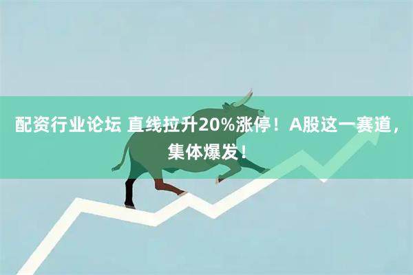 配资行业论坛 直线拉升20%涨停！A股这一赛道，集体爆发！